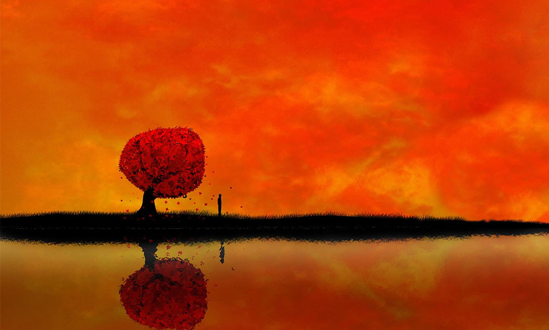 金昌笙影微信朋友圈转发案例